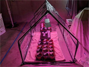 K[fnEX rj[ ^Cv prj[Jo[t t[X^h ȈՉ t[nEX rj[nEX ^ | K[fjObN ΍ hJ?h Q?