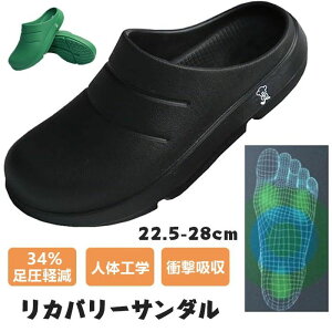 Jo[T_  T_ Xbp  NT_ Y fB[X Ռz  ~ NT_ A[`T|[g lԍHw c{Xbp NXbp CX