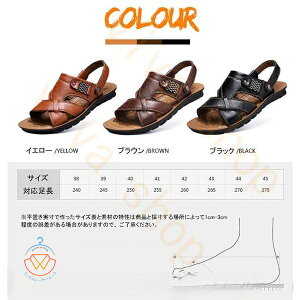  T_ Y Xb| U[  T_ [}OfBG[^[ r[`T_  AU[T_ t 2way tbg X|[c V