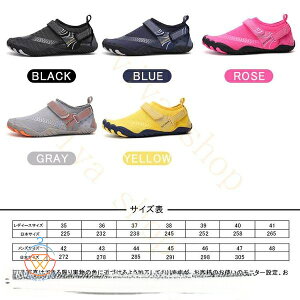  }V[Y EH[^[V[Y V[Y r[`V[Y X|[cT_ Y fB[X ANAV[Y T_ Ȃ p V