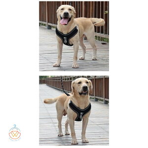  n[lX[h 2_Zbg xXgn[lX \tgn[lX  UR UObY ybgpi p Lp bV EFAn[lX ybg  ^ ^ o^C v[