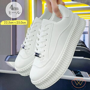 Xj[J[ fB[X [Jbg ؍t@bV C rV[Y {[ ₷ JWA EH[LO ʊw s  zCg