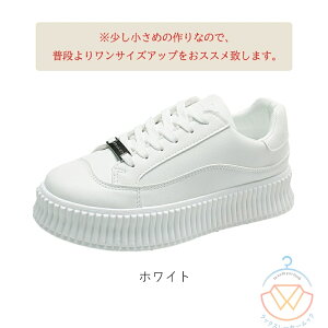 Xj[J[ fB[X [Jbg ؍t@bV C rV[Y {[ ₷ JWA EH[LO ʊw s  zCg