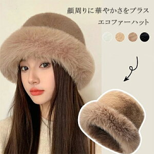 t@[nbg fB[X Xq GRt@[nbgXq  H~ Xq fB[X t[TCY