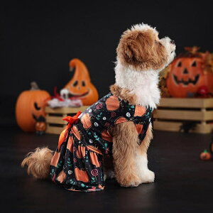 ybg s[X nEB ߑ J{`   RXv nEB ߑ RX`[ ̕ ybg 킢 [ H    L lC IV ` ^ nEB RXv