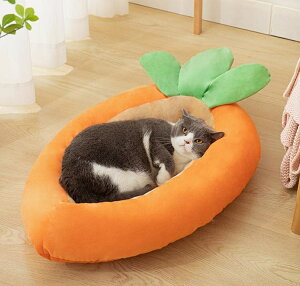 xbh Lxbh lQ^ LpNbV 薰 ^  g ybgxbh ӂӂ ʔ h L\t@[ 􂦂 ybgnEX p Q }bg ybgpi 