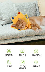 GUxXJ[ \tgtFg y L  ybg _炩 Ch h[ic ybgpi ȒP LK p PA ی rߖh~ e p Em ʋCǂ X