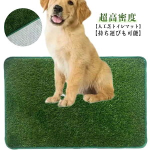 ybgp lH ybgV[g gCV[g 􂦂 p p lHŃ}bg gC}bg ybggC }bg ybgpi ~ EOp ėp\ gCP