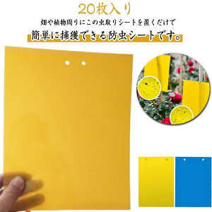 ߒV[g gbv Lb`[ ~oG SV[g  ʗp XeBbL[ 20 ͔S 20 nG AuV Q΍ ߊl OΉ K[fjO _ ͔|