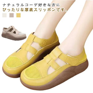 JWA fB[X bV Xb| ʋC y Od ~ r i[XV[Y T_ ₷ ʊw ʋ X|[c  ɂ