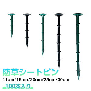 100�{�Z�b�g �h���V�[�g �s�� 25cm 30cm �������s�� �������B PP�Y �����V�[�g �Œ� �}���Y �������Y 11cm 16cm 20cm �_�� �����V�[�g �Œ�s�� �Z�� ���� ���|�V�[�g �V�[�g������ �Œ�p �h���V�[�g 