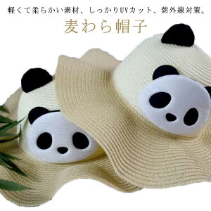 q 傫 p_ fB[X ΍L p_Xq Xq ܂肽݉\ LbY Xq   UV Β l