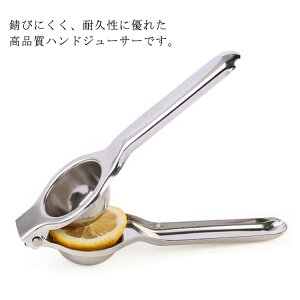 XeX ʏ` ڂ 蓮 W[T[ XeX i  IW i nhW[T[ 䂸ڂ ڂ  t[cڂ