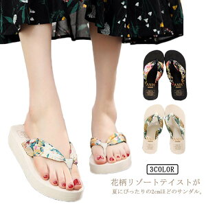 r[`T_ gOT_ fB[X  ԕ y ₷ q[ C ɂȂ W[p ^Ep p Sn  킢 y ~   r[T 傫