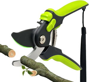 y100~N[|聕P5{zoT~  }؂ iK߉\ ؂ꖡ SK-5Yf|n ₷ }؂oT~ Kтɂ yʉ K[fjO ʎ  ~ 뉀 Ə lC(