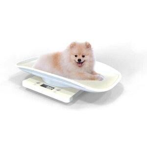 @\ ybg̏dv  10KG |[^u ^ybgA^AL