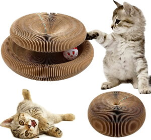 u10%OFF100~N[|vLp ܂Ƃ ܌ ܂Ƃi{[ L L Lp܂Ƃ {[t ܂ݎ njJ\ 2in1 gݗĊȒP {- ܌  ܖ  ^