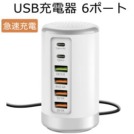 【P5倍！お買い物マラソン】USB充電器 6ポート PD急速充電器 合計65W Type-C急速充電 PD3.0TYPE-C TYPE-C QC3.0 USB-A USB-A Tower USBソケットには1.5mACケーブルが付属し iPhone13 Galaxy S9 XperiaX およびその他のAndroi