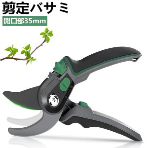 oT~  ΂ 2iK߉\ SK85Yf| A~ }؂oT~ |nT~ |p͂ Kтɂ J35mm yʉA~nh ₷ ʎ  ~ 뉀