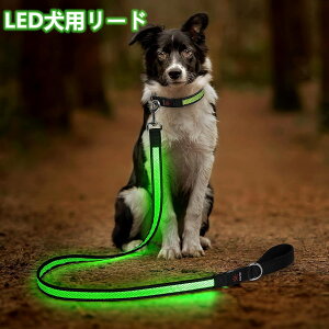 1.2M LEDp[hAUSB[d [h  UCgA3̏Ɩ[hAԂ̎UɍœK ()