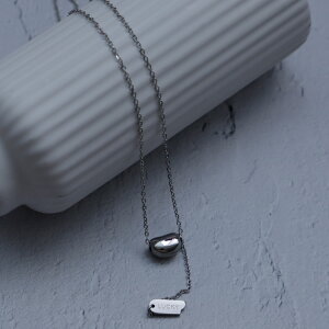 ネックレス レディース Y字ネックレス ステンレス製 金属アレルギー対応 18kコーティング ゴールド シルバー 45cm 華奢 細い アズキチェーン プレート LUCKY ループタイ nsa-n30034 【メール便】 【