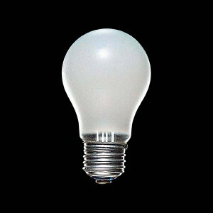 �y�@�l�l�����z�����d�@ �V���J�d�� 40W�` E26���� LW100V57W/55