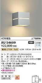 【法人様向け】コイズミ照明 防雨型ブラケット 非調光 電球色 シルバーメタリック塗装 AU54609