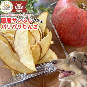 �y�b��t�ďC�z�������� ���Y�� ���Y �� ����� ��� �����S �ʕ� �t���[�c �h�b�O�t�[�h ���̂���� ���p����� �y�b�g�t�[�h �y�b�g�̂���� �O���e���t���[ �O���C���t���[ �_�C�G�b�g