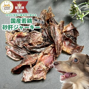 ybtďCz Y Y   ̃W[L[ { { hbOt[h ybg ̂ p ybgt[h ybĝ Oet[ OCt[ W[L