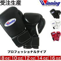 楽天市場】格闘技 ファールカップ（ブランドウイニング）（グローブ 