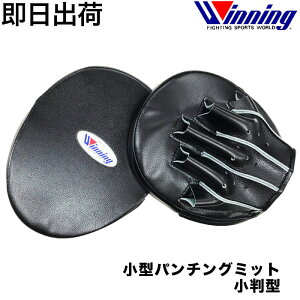 �y���[ �������݁z�E�C�j���O ���^�p���`���O�~�b�g �����^ ���E1�g �{�N�V���O Winning gloves �O���[�u �E�B�j���O�O���[�u ���K�i �i���Z �L�b�N�{�N�V���O