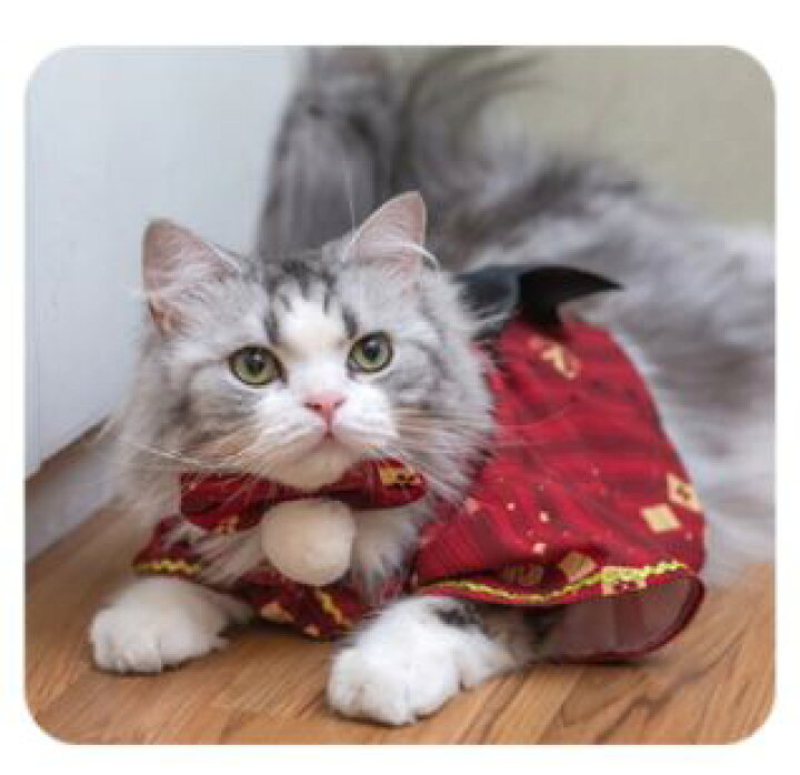 楽天市場】猫コスチューム 和服 和ロリ 着物 上着 羽織り かわいい 