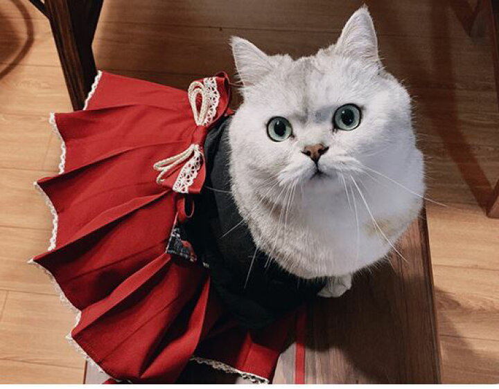 楽天市場】猫コスチューム3色 袴 スカート 和服 和ロリ 着物 かわいい 