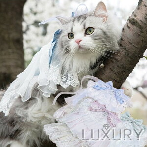 [^ NyaNya lRp [Xς m { `[ NVJ[^ N u[ sN O[