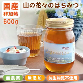 10%OFFクーポン はちみつ 蜂蜜 ハチミツ 国産はちみつ 国産非加熱はちみつ 自然食品 完熟純粋蜂蜜 生はちみつ 国産天然はちみつ 純粋はちみつ 健康ギフト 食べ物 ギフト 体に良い 無添加 無農薬 オーガニック 百花蜜 はちみつ百花 百花蜂蜜 百花はちみつ 養蜂場 専門店