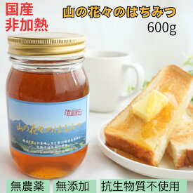 ポイント5倍+αスーパーセール 国産はちみつ 国産非加熱はちみつ 自然食品 健康食品 完熟純粋蜂蜜 生はちみつ 国産天然はちみつ 純粋はちみつ ハニー 無添加 無農薬 オーガニック 免疫力 蜂蜜専門店 送料無料 おいしい蜂蜜 贈答 百花蜜