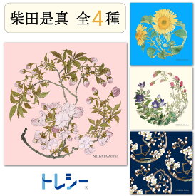 東レ トレシー メガネクロス メガネ拭き メガネふき 柴田是真 超極細繊維 マイクロファイバークロス クリーニングクロス 全4種 19cm×19cm