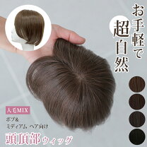 楽天市場】アートネイチャー ウィッグ 部分の通販
