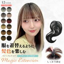 部分ウィッグ 頭頂部 白髪隠し ウィッグ 人工毛 ファイバー ミディアム ロング 薄毛隠し 送料無料 「マジックエクステ…