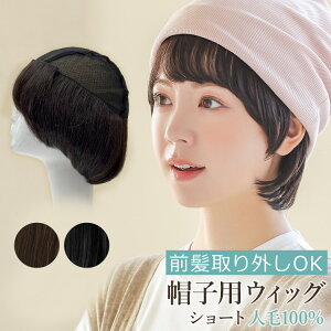 EBbOt Xq OOtXq V[g l100%[wgn037] yl100% Lbv tXq ѕtXq EBbOtXq ×pEBbO ×p PAXq AQUADOLL ANA