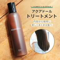 ウィッグ トリートメント 人毛 ケア お手入れ 洗浄 メンテナンス 人毛ウィッグ におい 保湿 消臭 汗 皮脂…