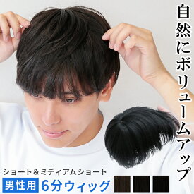 【人工頭皮付き】 ウィッグ メンズ 部分ウィッグ ヘアピース 六分ウィッグ 白髪隠し 薄毛隠し つむじ 送料無料 「男性用 6分ウィッグ スマートショート [wgt100]」 ショート トップピース ウイッグ 白髪かくし ボリュームアップ かつら つけ毛 薄毛 脱毛 人工頭皮 人工毛