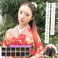 ポニーテール ウィッグ エクステ ヘアアクセサリー ヘアアクセ つけ毛 グラデ 部分ウィッグ 簡単 ワンタ…