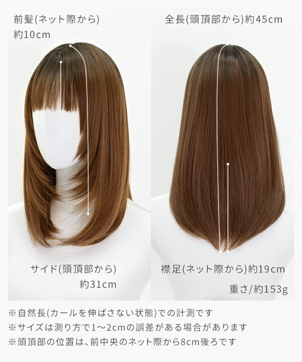 楽天市場】ウィッグ セミロング ストレート 内巻き メッシュ レイヤー 