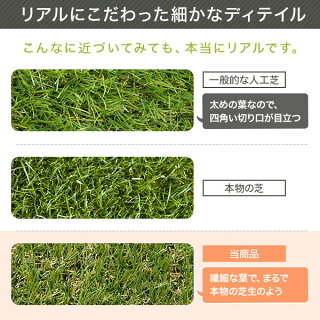 人工芝ロールタイプ