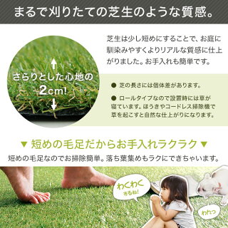人工芝ロールタイプ
