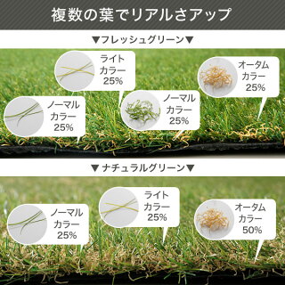 人工芝ロールタイプ