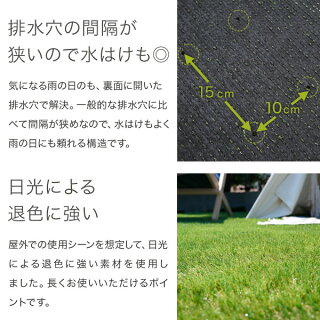 人工芝ロールタイプ