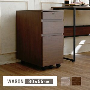 S 30cm `FXg ؐ [ o 3i 3t TChS TCh`FXg TChbN fXNS [`FXg LX^[ e[LO