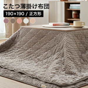 zc 190×190 3way |zc |zc ܂ NbV Q LeBO XgCv @Ő􂦂 EHbVu  _XeBsN O[W Lx[